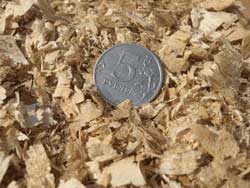 ������� ��������� - ������� ������� ����